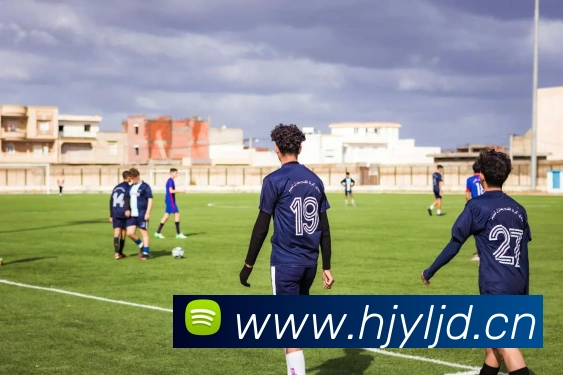 星空网官方入口APP 封面图